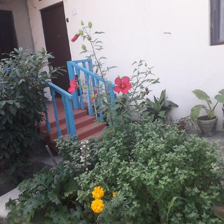Guesthouse Zeinabi 트빌리시 외부 사진