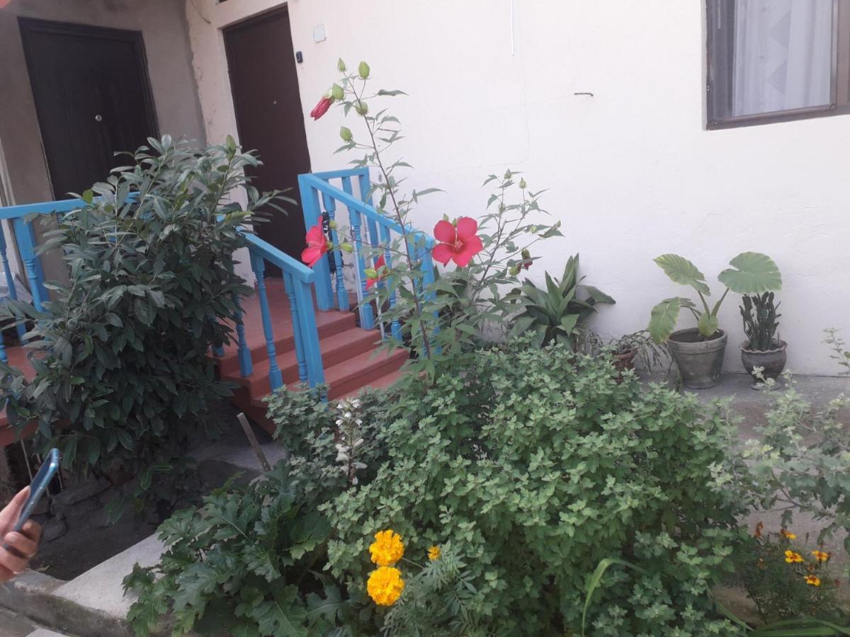 Guesthouse Zeinabi 트빌리시 외부 사진